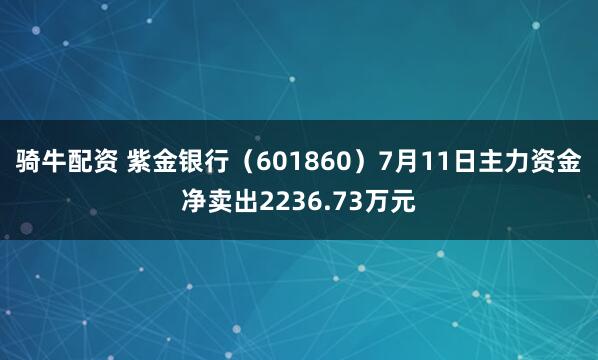 骑牛配资 紫金银行（601860）7月11日主力资金净卖出2236.73万元