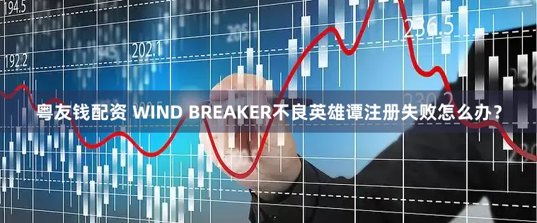 粤友钱配资 WIND BREAKER不良英雄谭注册失败怎么办？