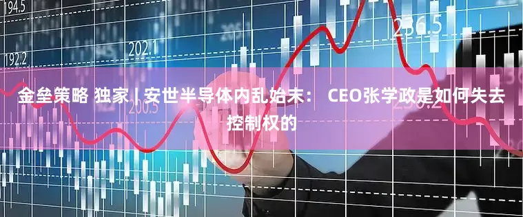 金垒策略 独家 | 安世半导体内乱始末： CEO张学政是如何失去控制权的