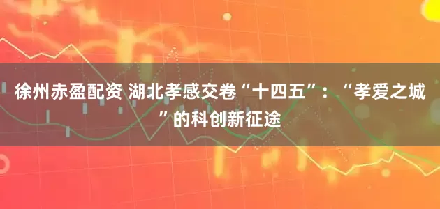 徐州赤盈配资 湖北孝感交卷“十四五”：“孝爱之城”的科创新征途