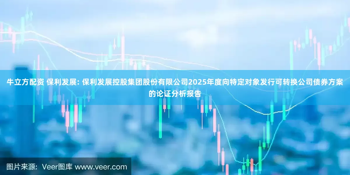 牛立方配资 保利发展: 保利发展控股集团股份有限公司2025年度向特定对象发行可转换公司债券方案的论证分析报告