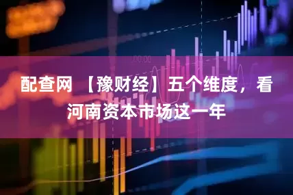 配查网 【豫财经】五个维度，看河南资本市场这一年