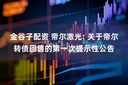 金谷子配资 帝尔激光: 关于帝尔转债回售的第一次提示性公告