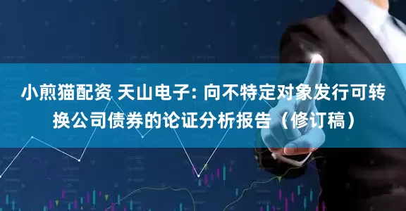 小煎猫配资 天山电子: 向不特定对象发行可转换公司债券的论证分析报告（修订稿）