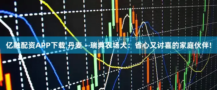 亿融配资APP下载 丹麦 – 瑞典农场犬:省心又讨喜的家庭伙伴!