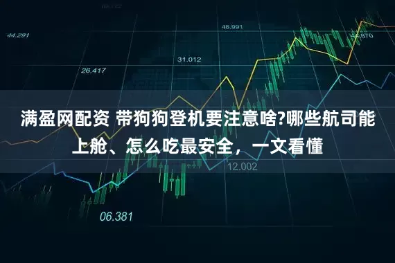 满盈网配资 带狗狗登机要注意啥?哪些航司能上舱、怎么吃最安全，一文看懂